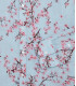 CIRO - Chemise lin imprimé motif fleur japonaise ciel