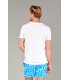 NECK - Cotton V-neck tee-shirt, white